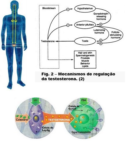 HCG 1.jpg